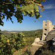 Hrad Hrušov