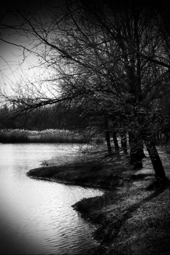 pochmúrno pri jazere