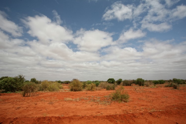 Tsawo east - Kenya