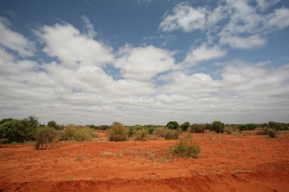 Tsawo east - Kenya