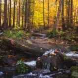 Straňavská dolina, Malá Fatra