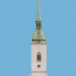 Dóm sv. Martina