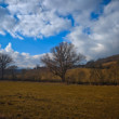 Po daždi