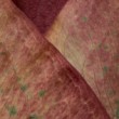 Zmijovec (Amorphophallus rivieri)