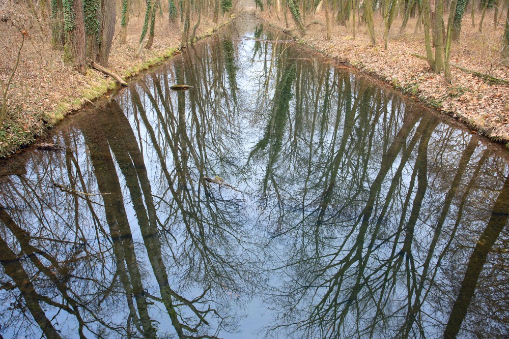 Rusovský kanál I.