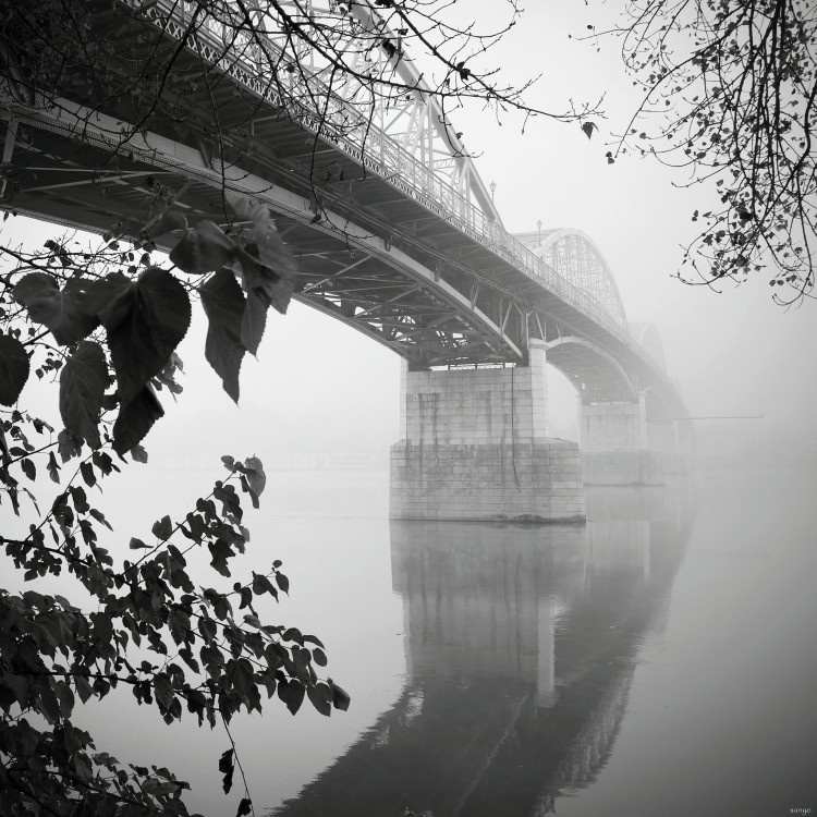 Zahmlený most...
