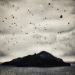 Ostrov netopierov