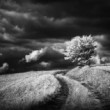 The way out