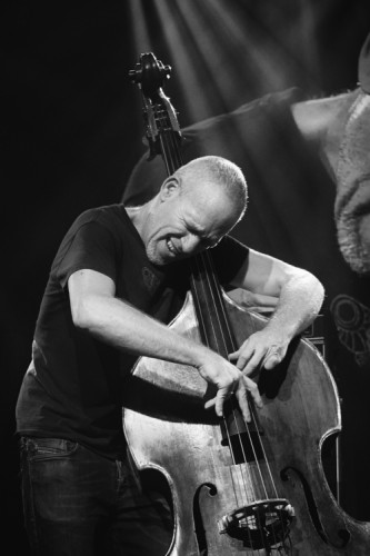 Avishai Cohen