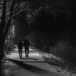 Lovers in the night