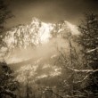 Vysoké Tatry