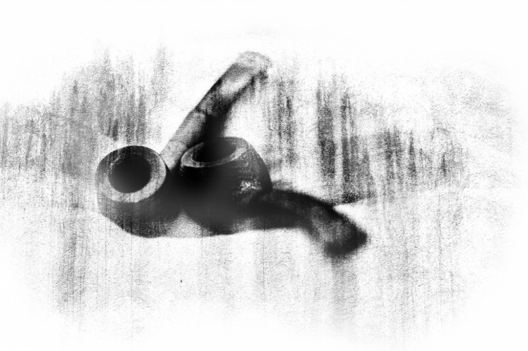 Röntgenová snímka pľúc