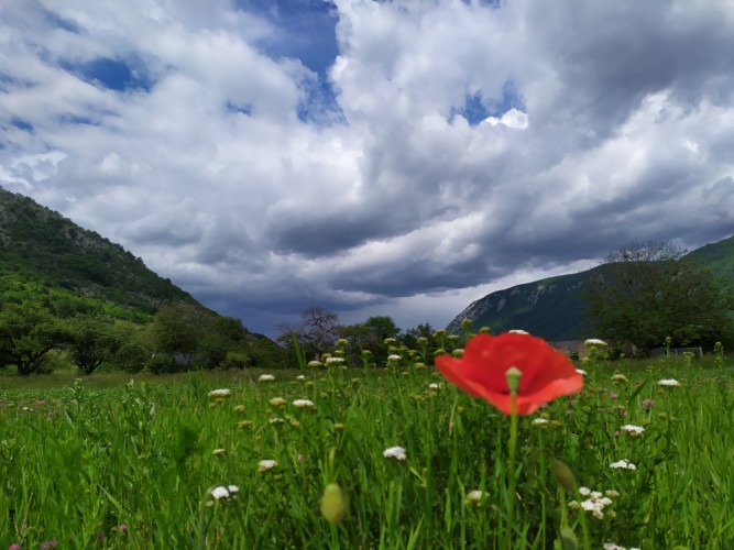 Medzi planinami