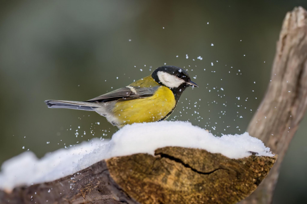 Úspešné pristátie