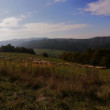 Pasienok