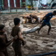 Pakistánski wrestleri