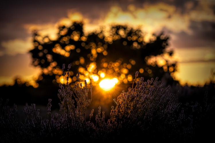 The last rays of the sun