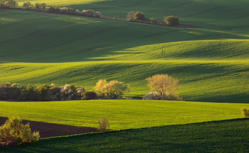 Jarné polia na Morave