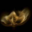 Fire 02