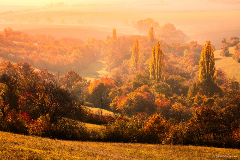 Morning light