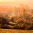 Morning light