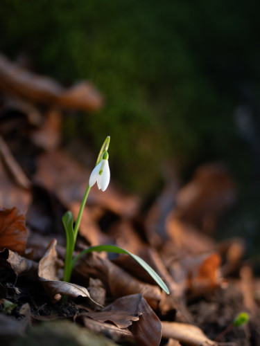 Jar začína potichu . ????