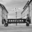 zmrzlina