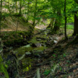 Limbašská vyvieračka