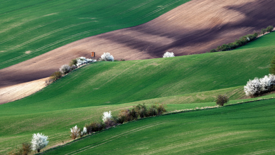 Šardicko v podvečer na vlně u soudku1