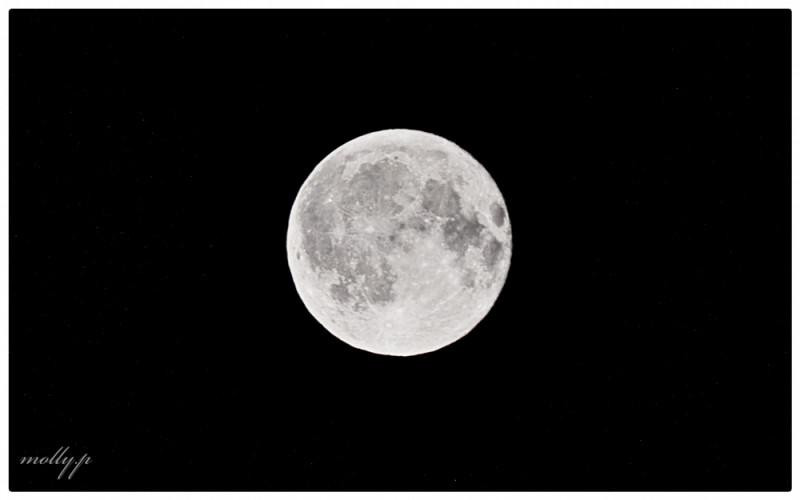 Moon