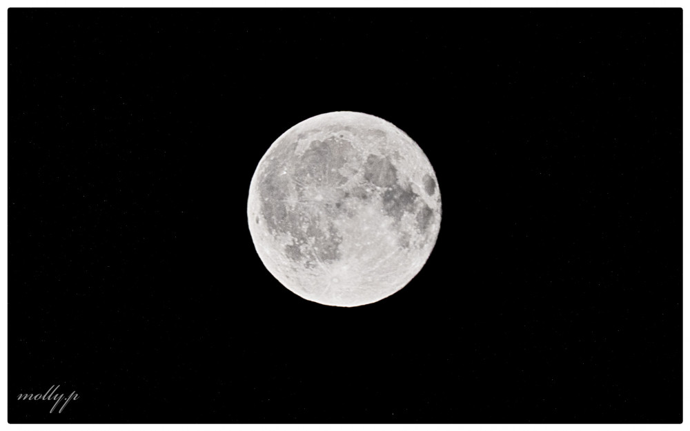Moon