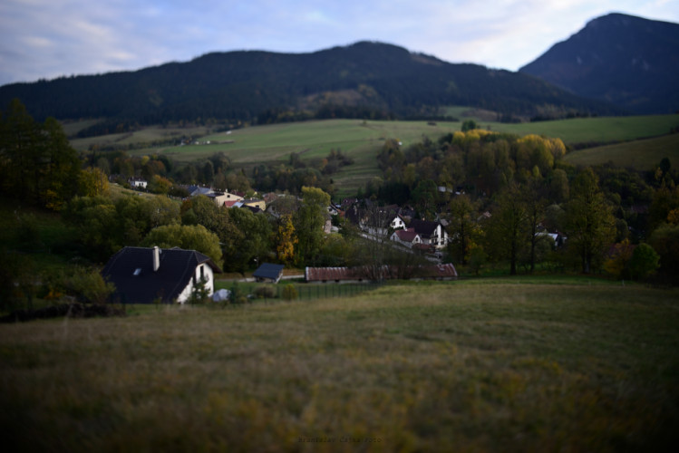 Orava