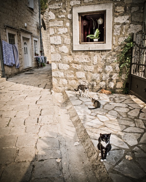 Perast(Montenegro)