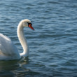 na slniečku