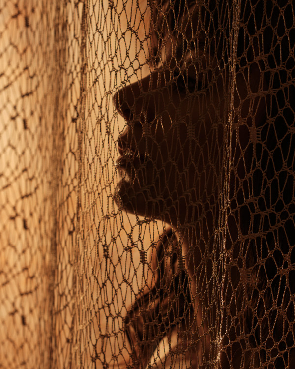 Softly Hidden