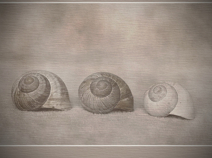 traja uliťáci-tankujú super