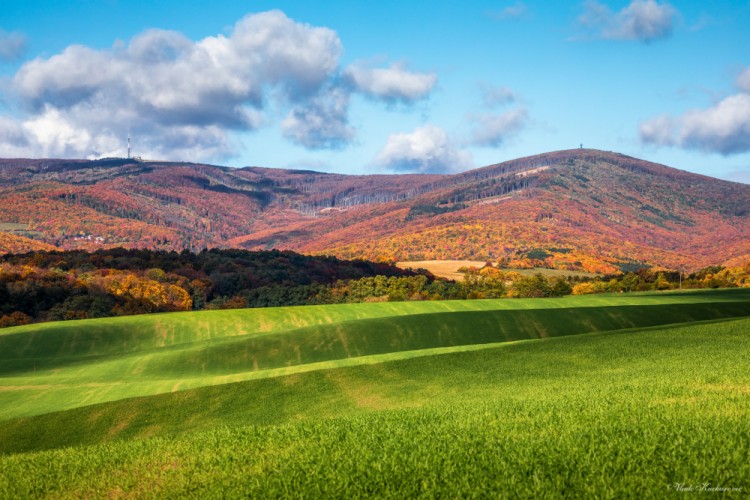 Colors of autumn