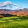 Colors of autumn