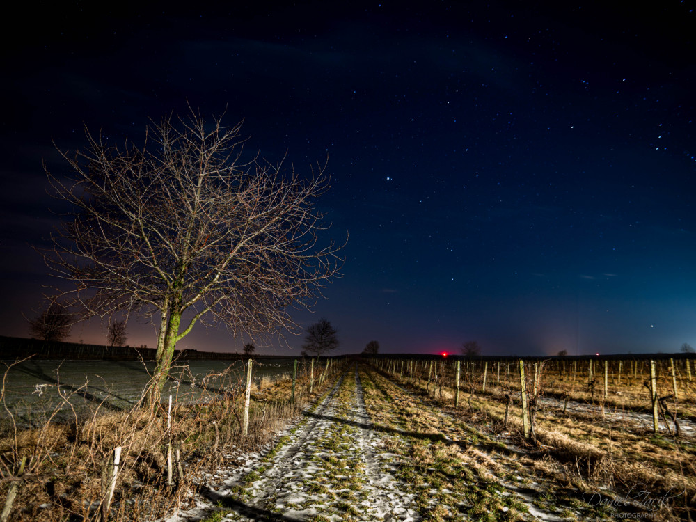 Nočný pohľad na vinohrad
