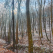 Karpatská zima