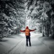 Winter Kingdom