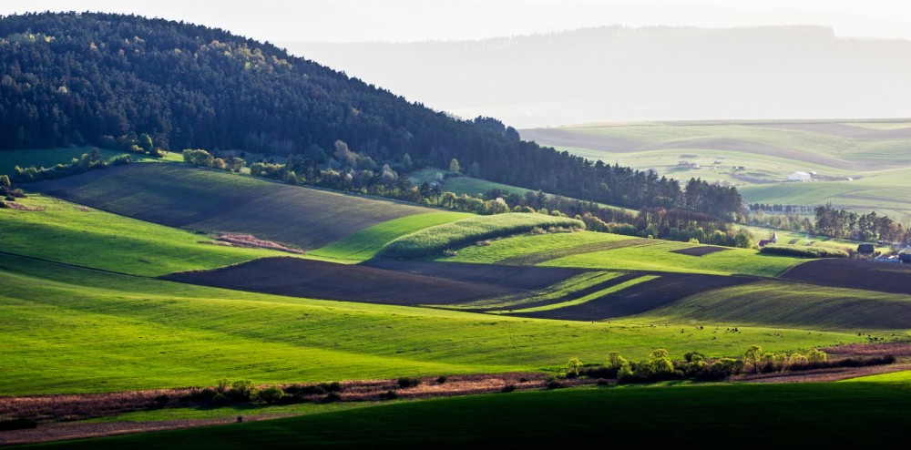 Spomienka na leto 2