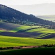 Spomienka na leto 2