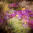 cool flowers