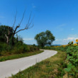 cyklisťák