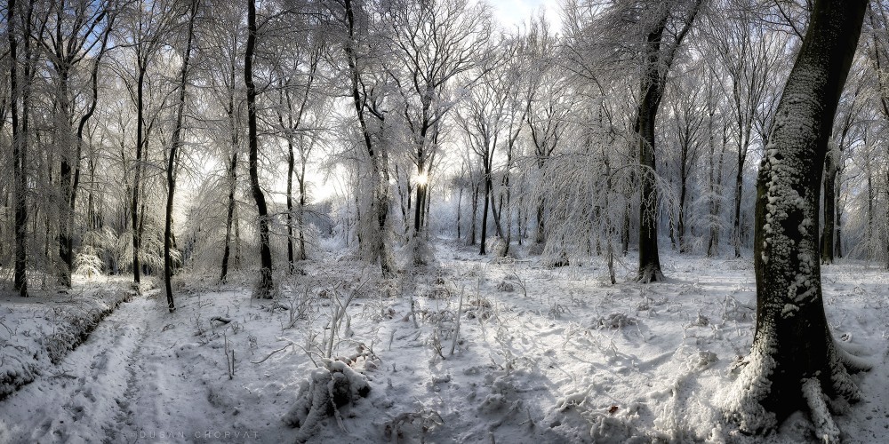 Čarovná zima (2017)