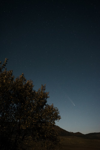 Comet