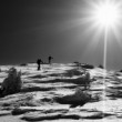 Into the sun