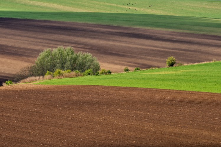 ... pokoj na krajine ...