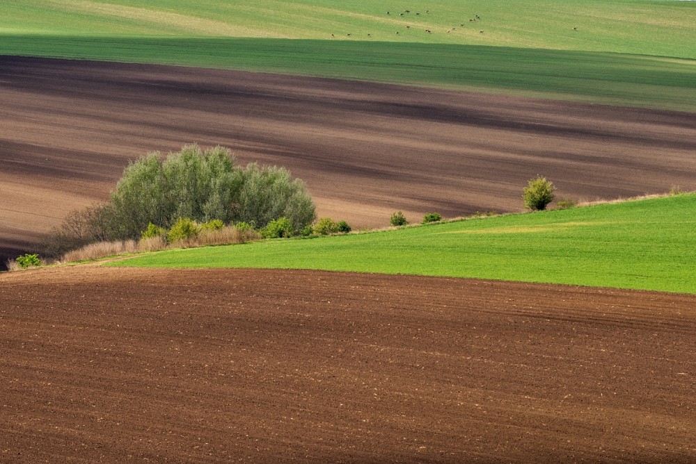 ... pokoj na krajine ...